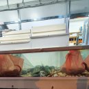 이화축산 이미지