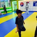 조선대 석사 태권도(2층) 이미지