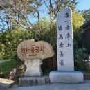 부산명소, 기장 가볼만한곳 추천 &#39;해동용궁사&#39; (주차장,입장료,먹거리,가는법)