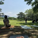 이안요가 송파 | 잠실 요가원 추천, 야외 요가 원데이클래스 후기