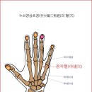 오장육부 이미지