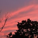 닥터존 인덕원점 | 하루에 한번씩