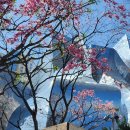 The Pits | 택시 Taxi ㅡ LA 한인택시 ㅡ 한국택시 ㅡ 공항택시 ㅡ LA 하나택시 🇰🇷