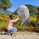 나훈아노래방 이미지