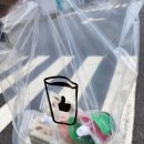 베러먼데이인천도화지젤점 이미지
