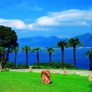 외도지석묘 3호 이미지