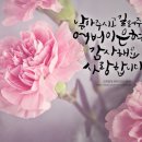 콩밭에 이미지