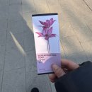 간식줄까(폐업) | 서울살이 1주차 :: 낯설어서 더 또렷한 날들