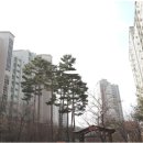 어은목마을 벽산블루밍 Daum카페