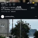 콜레트커피
