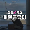 어달을 담다 이미지