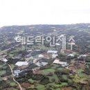 제주도, 성산읍 토지거래 제한구역 '조기 해제' 검토 이미지