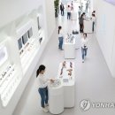 케이티앤지 미니멀리움