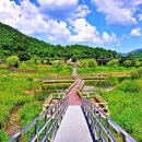 만천하스카이워크 입구 이미지