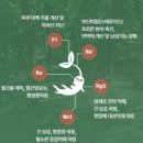 우리 집 냉장고에 항상 있는 건강템, [천년새싹] 새싹삼 후기 🌱