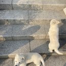 충민농장 이미지