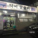 덕이꿀꿀이 이미지