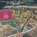 평화강변수목캠핑장 이미지