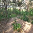 서오리 중부 이미지