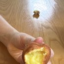 조타커피 이미지
