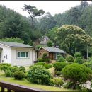 석장골여행 이미지