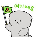 러니스오버