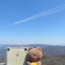 귤곰 이미지