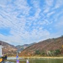 양백목장 이미지