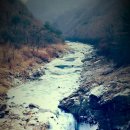 양구 나비야 이미지