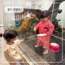 신나는 미술교실(2반) | 안양 요미체｜미술+요리 체험 솔직후기