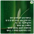 토닥토닥 이미지