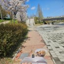 푸른하늘 동물병원 이미지