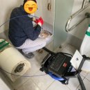 수영강변 공중화장실 이미지