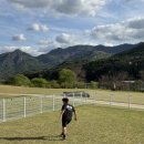 제이앤제이애견 | [경북 상주] 월월펜션 / 애견동반 여행