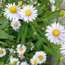 향로식당 이미지