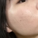 피앤브이 | 비건쿠션 피앤스토리 그린 브이블룸 편백쿠션 후기