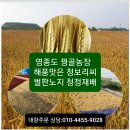 보리씨 이미지