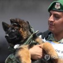 people puppy 이미지