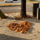 GS25북한산우이점 | 북한산 우이령길 교현→우이 코스 완벽 정리! (예약·소요시간·후기·맛집 총정리)