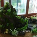 뜰안의행복 이미지