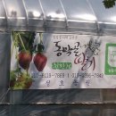 정호2농장 이미지