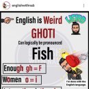 영어읽기, 영어단어 철자 규칙 : ghoti = fish 이미지