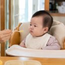 상아중기 | 초당옥수수 아기 언제부터? 생으로 먹어도 될까 보관법까지