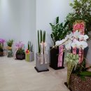 연세봄빛피부과의원 이미지