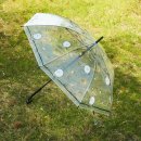 홍대 농담 이미지