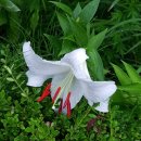 담양민박 이미지