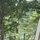 유명산캠핑장 이미지