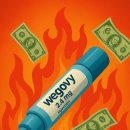 콕스다이어트 | [조타수] 위고비·마운자로 흉내만 내도 열광하는 다이어트 열풍