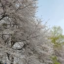 은파유치원 이미지