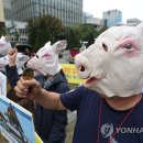 이강인농장 이미지